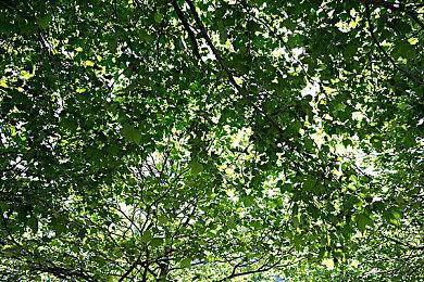 自古对波左必输？飞船对决游戏《孤星猎人》首支预告片公开