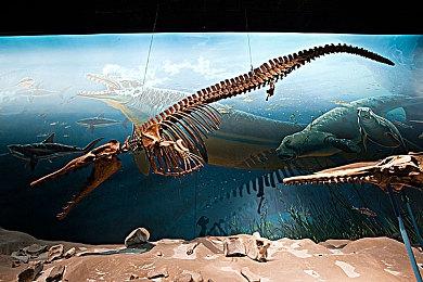 《Dragon Ruins》Steam页面上线 经典3D迷宫探索