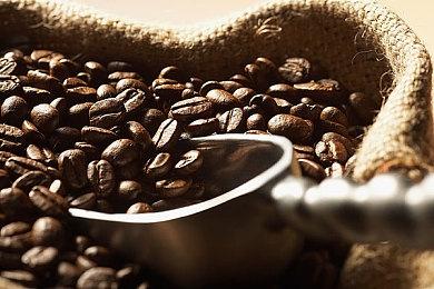 《星球工匠》1.0正式版即将推出 Steam售价将上涨